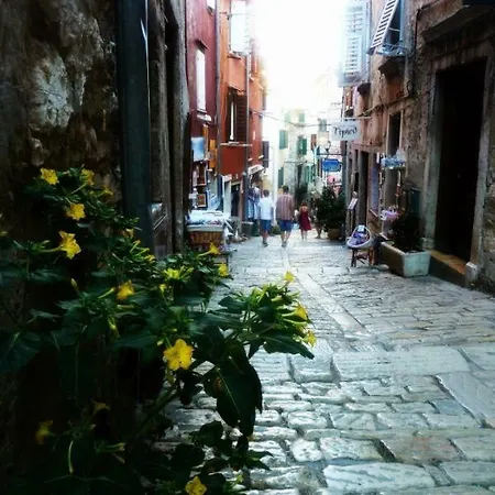 Grisia 6 * Rovinj